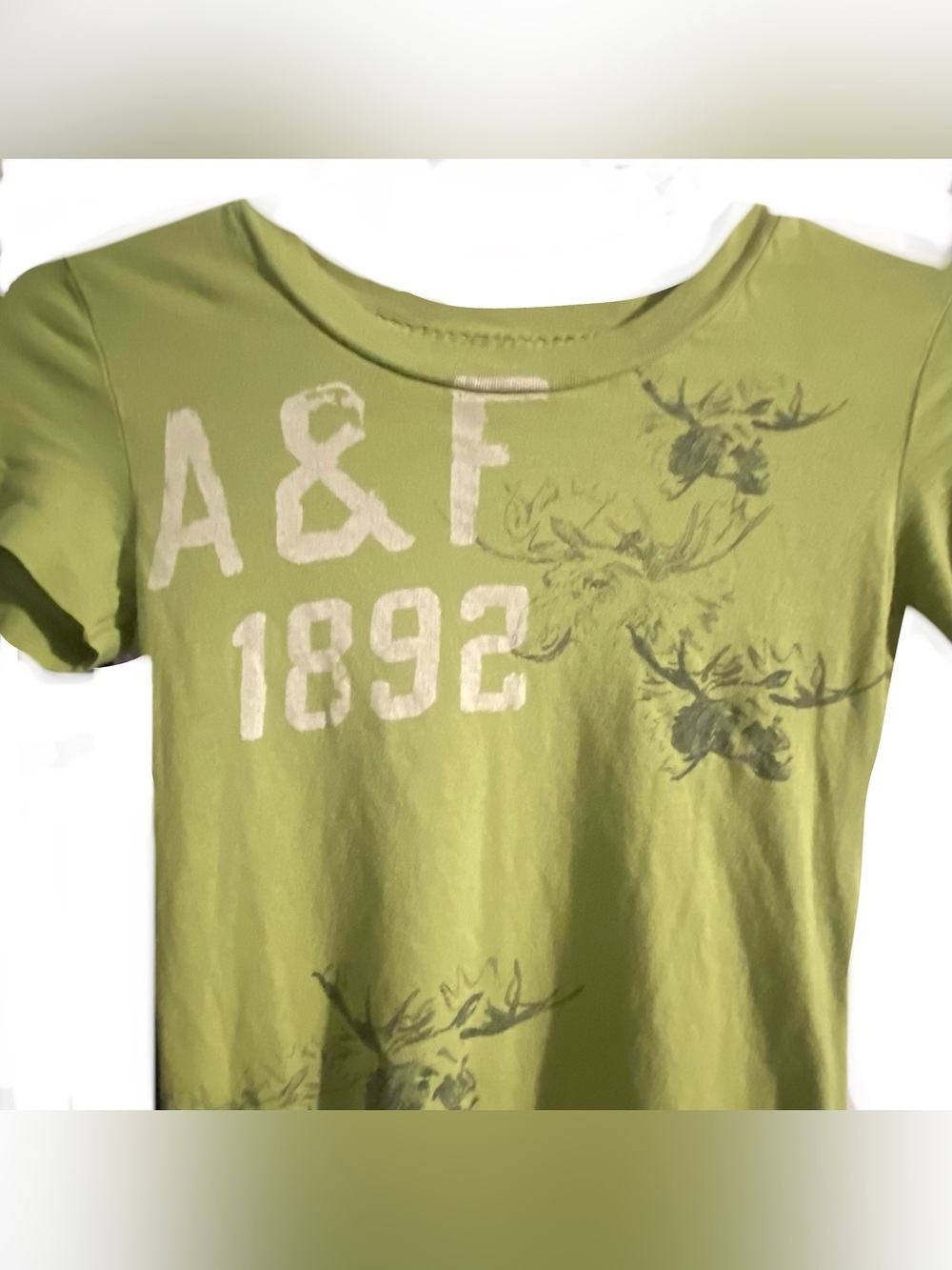 Abercrombie & Fitch Green Graphic Tee